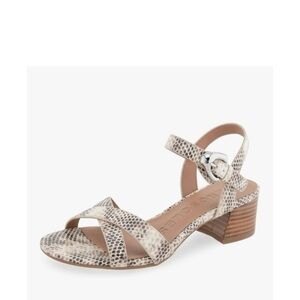 Aerosoles | Cinzia Roccia snake print neutral low heel sandals